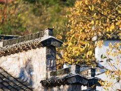 -塔川景区