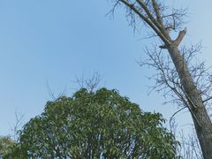 -三岔湖景区