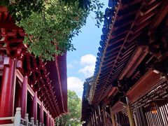 -绳金塔