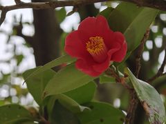-青岛崂山太清宫