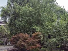 -重庆园博园