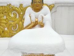 -护国法轮寺