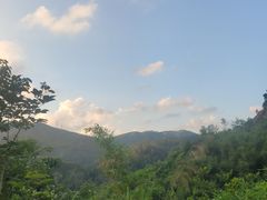 -田心森林公园