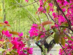 -元大都城垣遗址公园