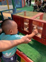 -萌宠亲子动物乐园(槐房万达店)