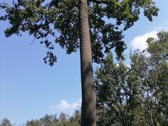 -青龙山国家森林公园