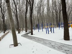 -森林公园(尖草坪区)