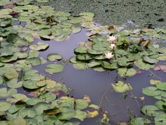 -艾溪湖湿地公园