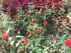 -长春公园(普阳街道)