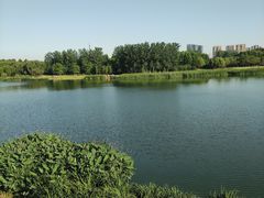 -滨湖塘西河公园