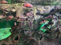 -常州海昌海洋探索馆