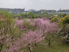 -贵阳市花溪国家城市湿地公园