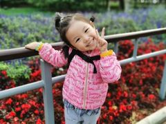 -舞研舞蹈培训(魏公村校区)