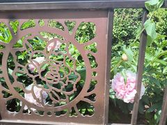 -黑龙江省森林植物园