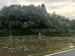 -周立波故居