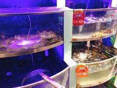 -七欣天香辣蟹火锅(南京建宁路大观天地店)
