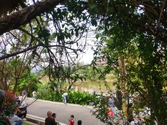 -枫香湖儿童公园