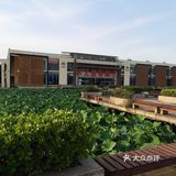 今天中午打卡。总体优秀