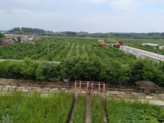 -河北村民俗体验园