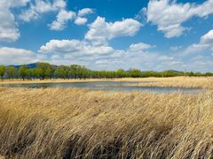 -野鸭湖国家湿地公园