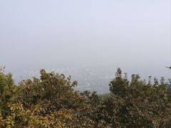 -阳台山自然风景区