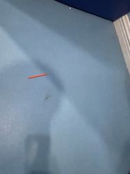 -万达宝贝王(成都锦华店)