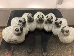 -盐湖城国际机场