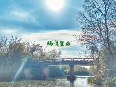 -溱湖国家湿地公园