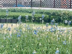 -大宁国际幼儿园(永和东路)