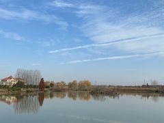 -池杉湖湿地公园
