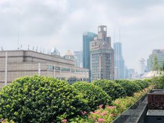 -上海和平饭店华懋阁 Cathay Room