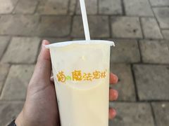 -猫的魔法密林(衣裳街店)