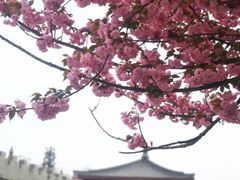 -唐城墙遗址公园