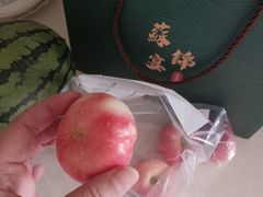 -蘇锦宴·淮扬菜烤鸭·小院(三元桥霄云路店)