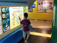 -上海昆虫博物馆