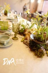 -DNA Wedding 婚礼记(上海店)