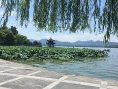 -西湖游船