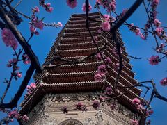-玲珑塔公园