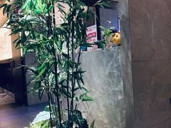 -老头儿油爆虾(星光一期店)