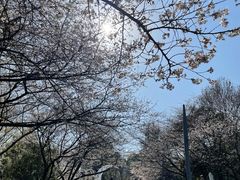 -杭州少年儿童公园