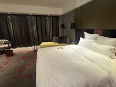 -南京禄口机场雅高铂尔曼大酒店