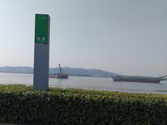 -海鸥岛