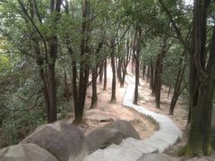 -火炉山森林公园