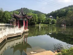 -青龙山国家森林公园