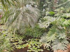 -石家庄市植物园