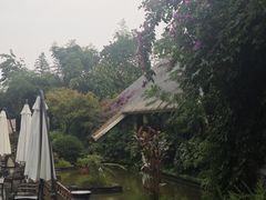 -老房子金沙元年川菜食府·花园餐厅(金沙店)