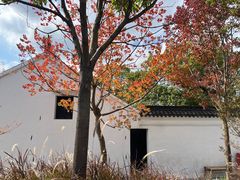 -西塔老太太泥炉烤肉(青浦蟠龙天地店)