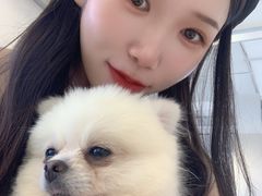 -怪兽屋·羊驼·猫咖·狗咖(俊华广场店)