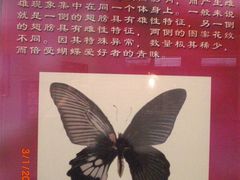 -上海昆虫博物馆