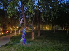 -莲花池公园